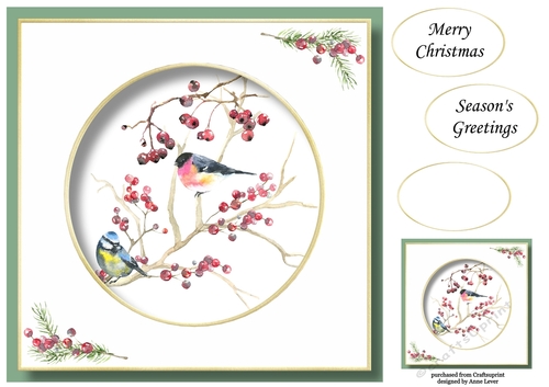 Beautiful Watercolour Bird At Christmas 4 No Flowers