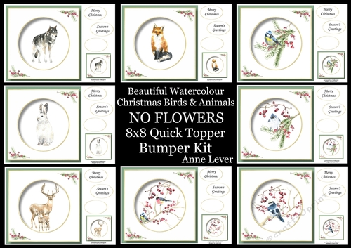 No Flowers Beautiful Watercolour Christmas Animals & Birds Bumper Kit