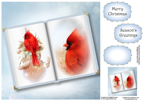 Open Book Christmas No Flowers - Red Cardinal