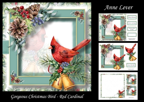 Gorgeous Christmas Bird - Red Cardinal