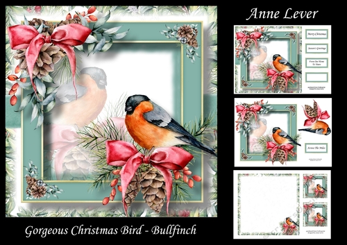 Gorgeous Christmas Bird - Bullfinch