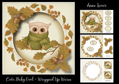 Cute Baby Owl - Wrapped Up Warm