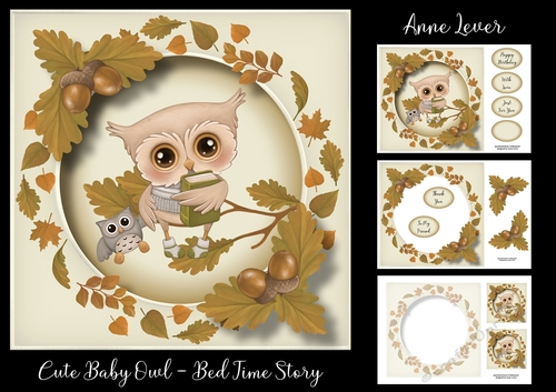 Cute Baby Owl - Bed Time Story