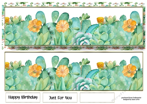 Landscape Lge DL - Succulents With Yellow Flowers