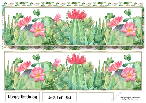 Landscape Lge DL - Succulents With Pink Flowers