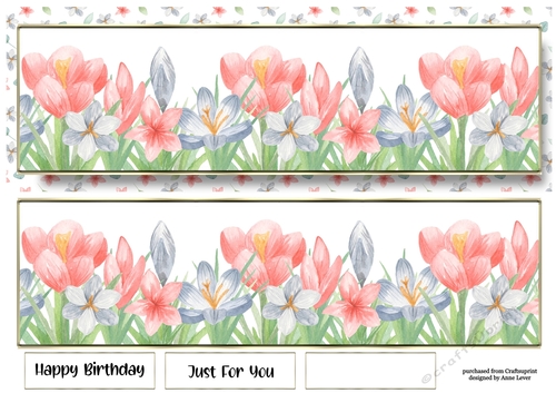 Landscape Lge DL - Spring Flowers