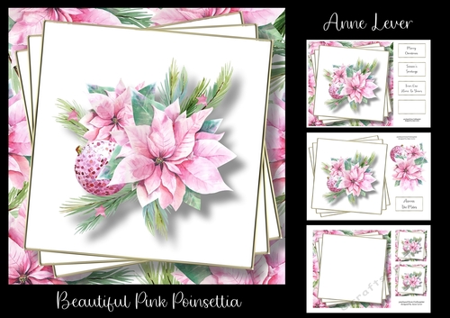 Beautiful Pink Poinsettia