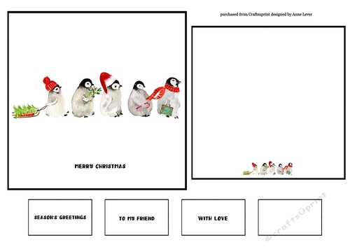 6x6 + Insert Baby Penguin Christmas