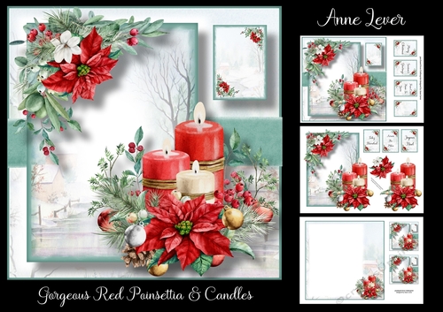 Gorgeous Red Poinsettia And Candles