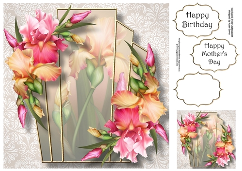 Art Deco Beautiful Floral - Blush Iris 8x8