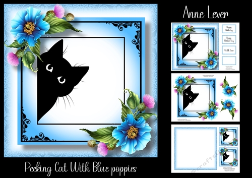 Peeking Cat With Blue Poppies