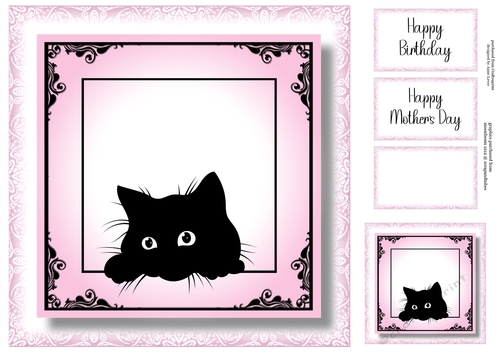 Peeking Cat In Pink - No Flowers