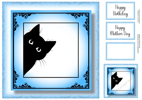 Peeking Cat In Blue - No Flowers