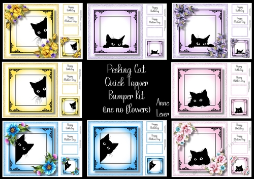 Peeking Cat QUICK TOPPER Bumper Kit (inc no flowers) 