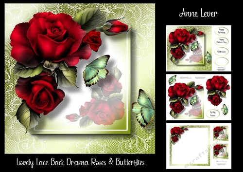 Lovely Lace Back Drama Roses & Butterflies