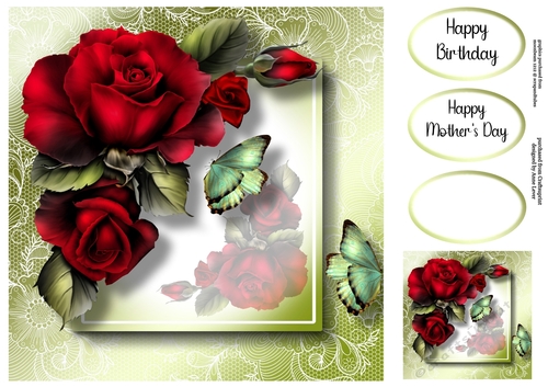 Lovely Lace Back Drama Roses & Butterflies 8x8