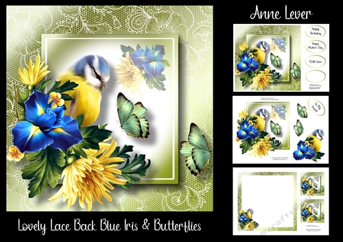 Lovely Lace Back Blue Iris & Butterflies
