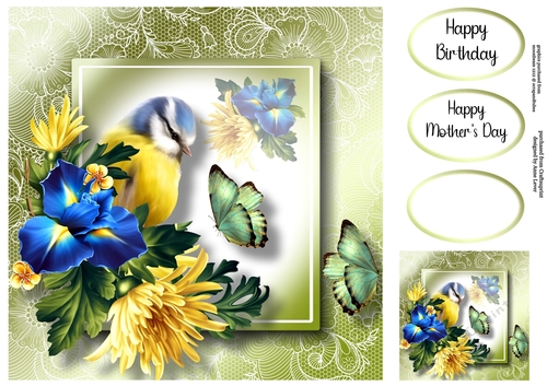 Lovely Lace Back Blue Iris & Butterflies 8x8