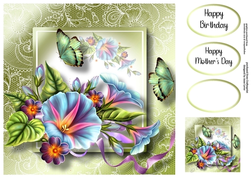 Lovely Lace Back Morning Glory & Butterflies 8x8
