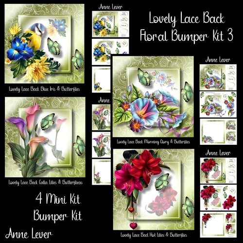 Lovely Lace Back Floral Bumper Kit 3