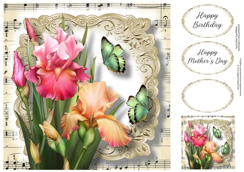 Fabulous Floral With Sheet Music - Blush Iris 8x8