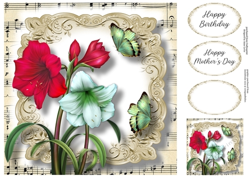 Fabulous Floral With Sheet Music - Amaryllis 8x8