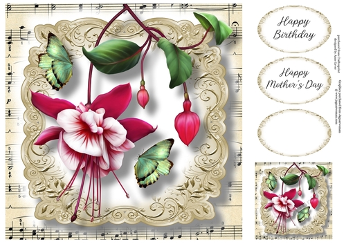 Fabulous Floral With Sheet Music - Fuchsia 8x8