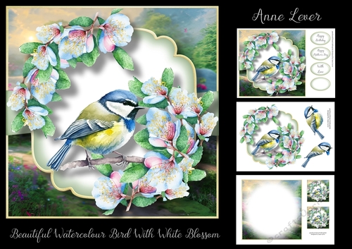 Beautiful Watercolour Bird With White Blossom