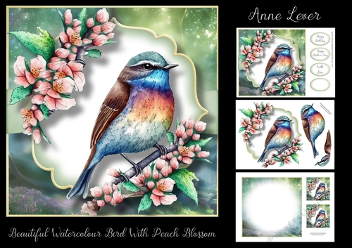Beautiful Watercolour Bird With Peach Blossom