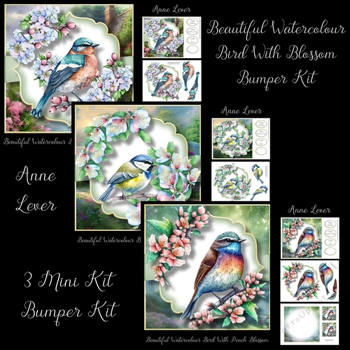 Beautiful Watercolour Bird With Blossom Bumper Kit