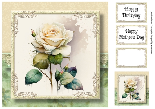 The Watercoloured Rose - White 8x8