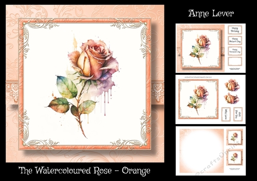 The Watercoloured Rose - Orange