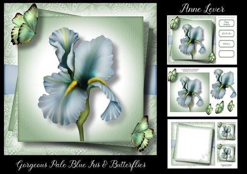 Gorgeous Pale Blue Iris & Butterflies