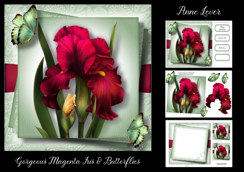 Gorgeous Magenta Iris & Butterflies