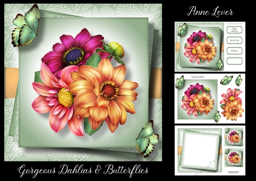 Gorgeous Dahlias & Butterflies