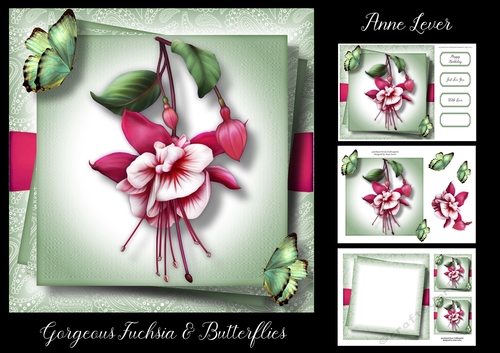 Gorgeous Fuchsia & Butterflies
