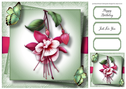 Gorgeous Fuchsia & Butterflies 8x8