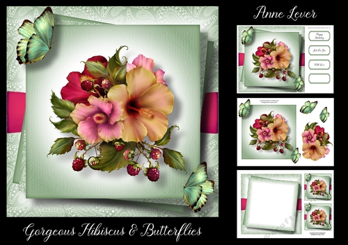 Gorgeous Hibiscus & Butterflies