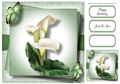 Gorgeous Calla Lilies & Butterflies 8x8