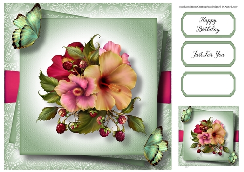 Gorgeous Hibiscus & Butterflies 8x8