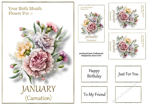 Birth Month Flower - January Carnation