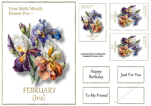 Birth Month Flower - February Iris