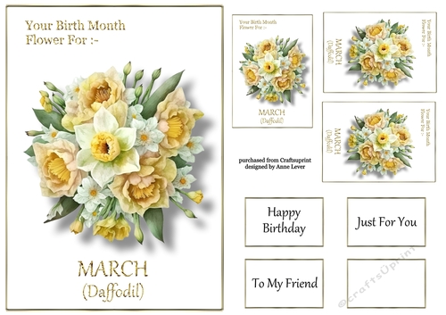 Birth Month Flower - March Daffodil