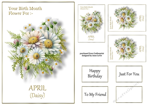 Birth Month Flower - April Daisy