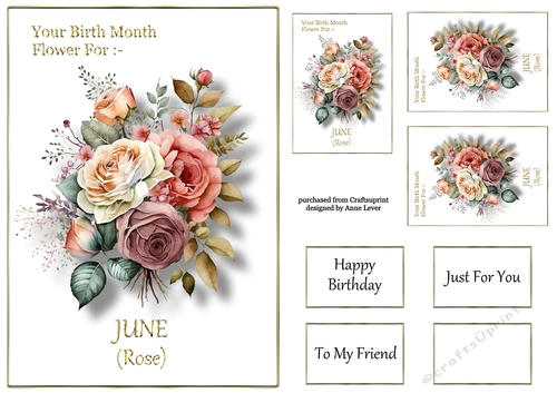 Birth Month Flower - June Rose
