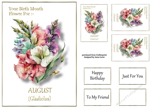 Birth Month Flower - August Gladiolus