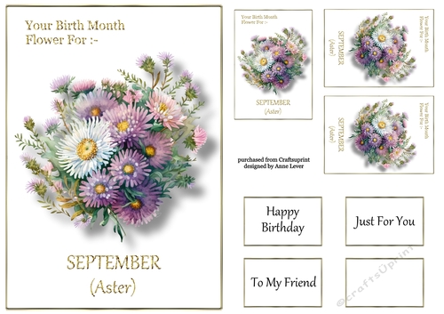 Birth Month Flower - September Aster
