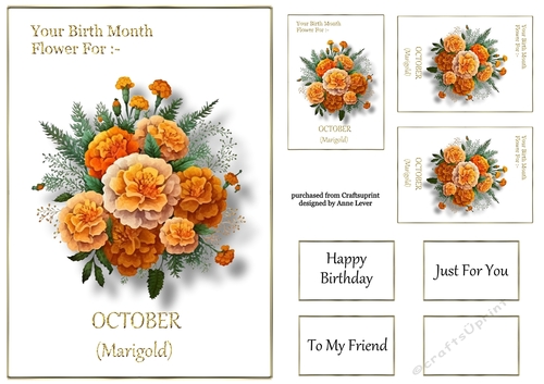 Birth Month Flower - October Marigold