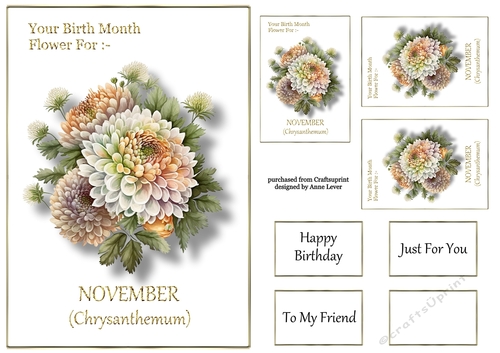 Birth Month Flower - November Chrysanthemum