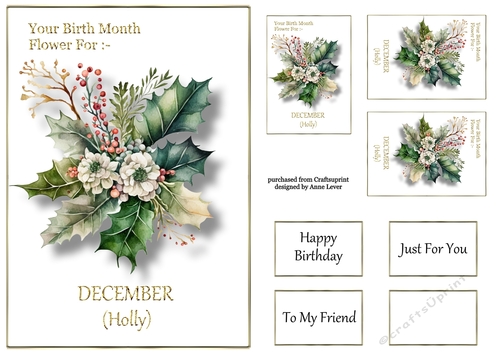Birth Month Flower - December Holly